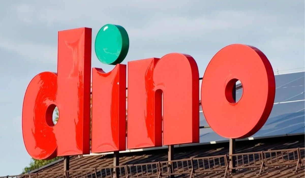 Dino przecenia krzewy borówki z 27,99 zł na zaledwie 2 zł – niepowtarzalna okazja!